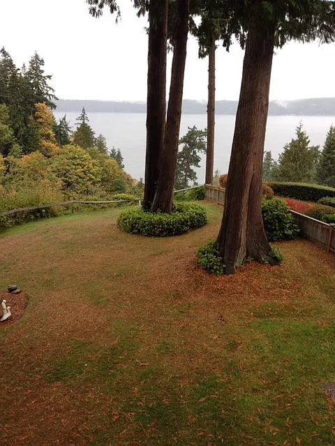 1 bed, 542 sqft, $1,550 — Photo 2