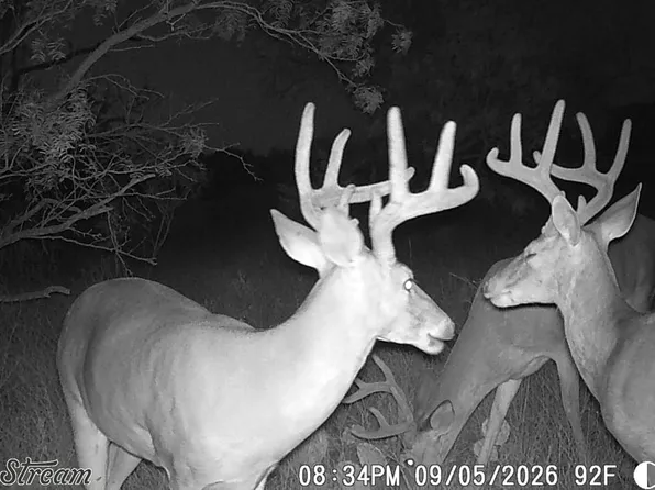 Rr 11, Millersview, TX 76862