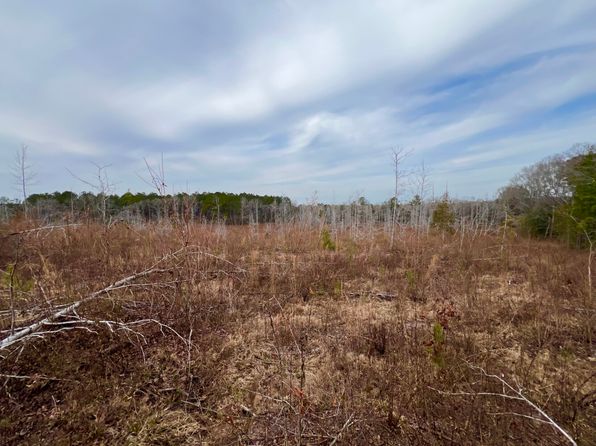 0 County Road 303, Skipperville, AL 36374