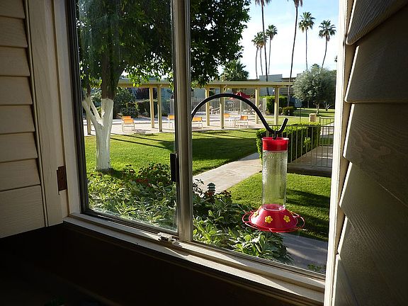 View from kitchen window