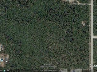 L3C W Harold Johnson St, Tok, AK 99780