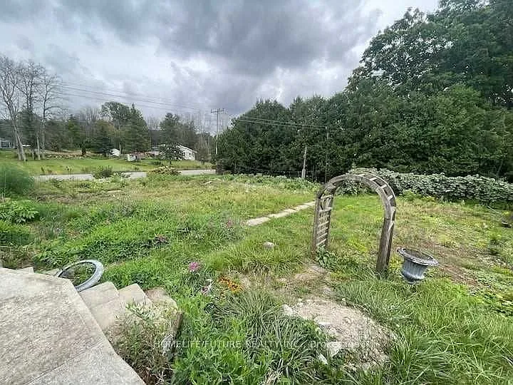 35 Barry Rd — Photo 23