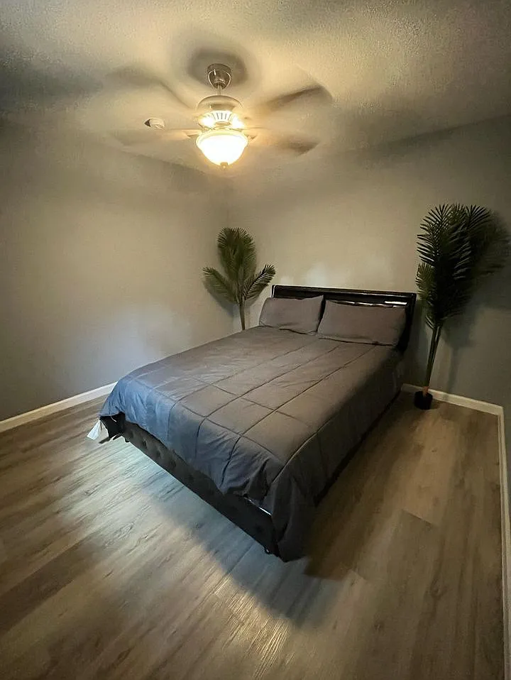 1 bed, 500 sqft, $800 — Photo 4