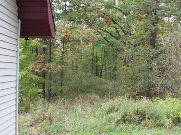 8+ acres & wooded privacy