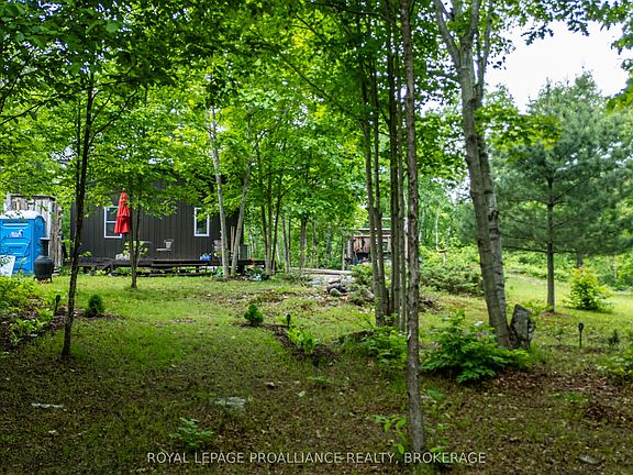 5th image of 384 Big Crosby Lake Rd
