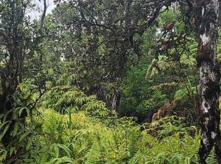 Paniolo St, Mountain View, HI 96771