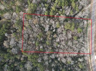 16157 Ridge Oak Rd, Willis, TX 77378