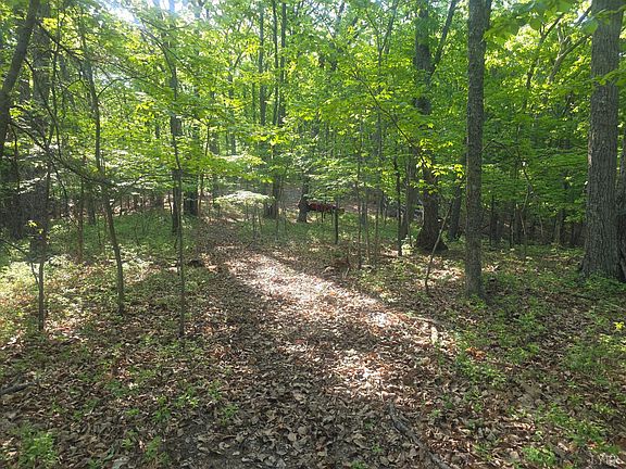 2nd image of 0 Nighthawk Rd Lot 4