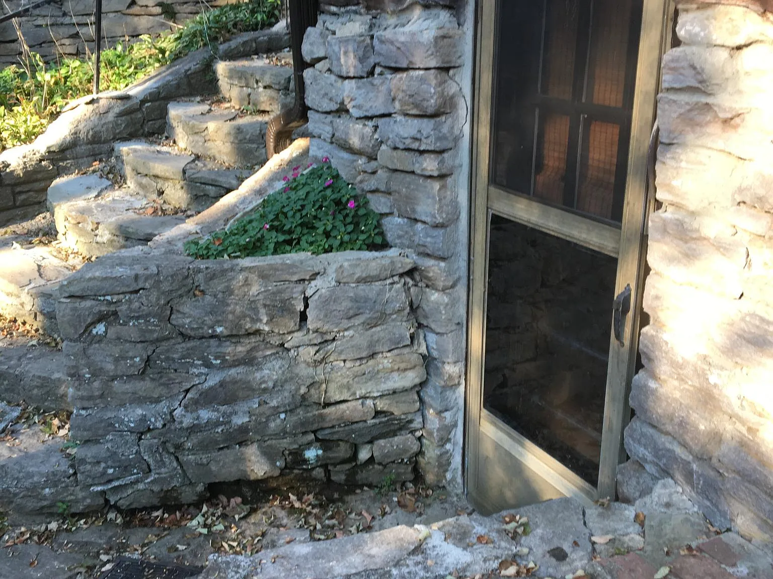 Tanglewood Dr N, Nashville — Photo 3