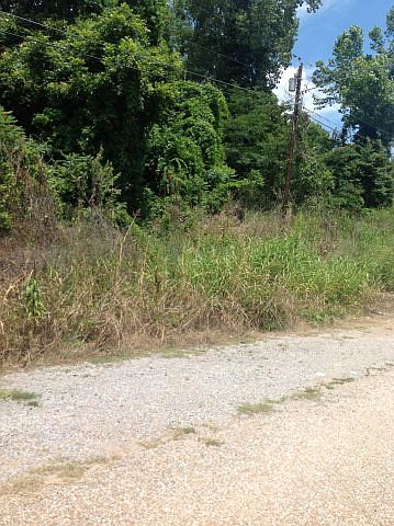1st image of 1239 Highway 61 S