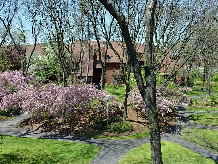 392 Whimbrel Ln #392 — Photo 27