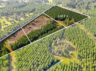 4 Rudd Rd, Ridgeville, SC 29472