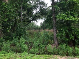 3940 Arlington Ave, Mims, FL 32754