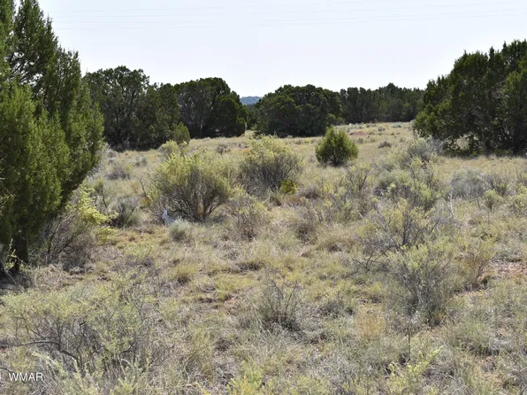 18 Crest Ln, Concho, AZ 85924