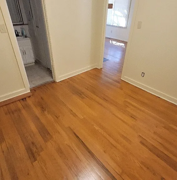 10310 Ute Pass Ave — Photo 4