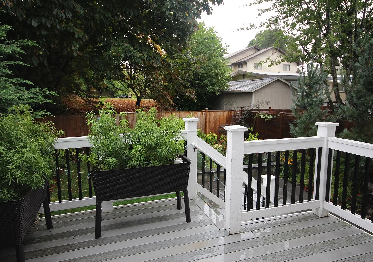 Beautiful 4bd/3.5ba in quiet Rainier Valley — Photo 3