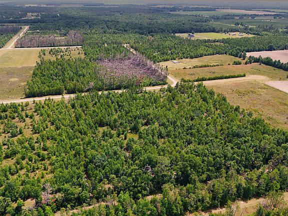 5th image of NE Loblolly Trl