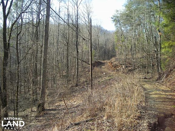 Bull Gap Road. Property to left.