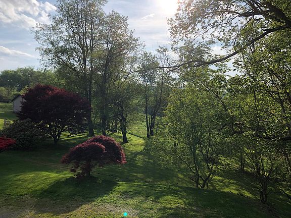 View out of kitchen window; back yard is available for tenants_ use.