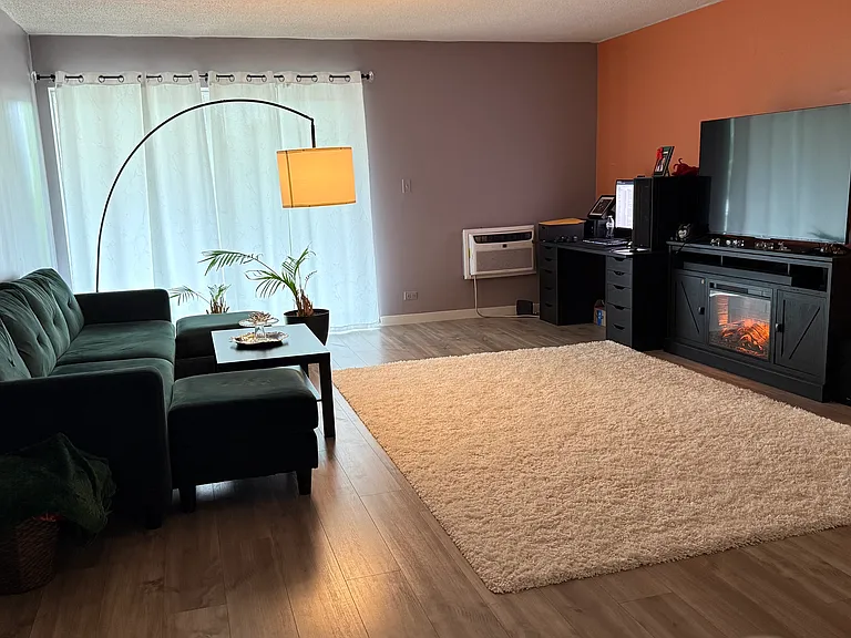 18 E Old Willow Rd — Photo 6