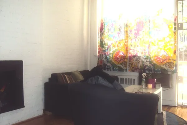 Rented by Prince Real Estate Associates LLC | media 19