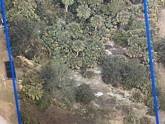 5th image of 4200 Seville Ave