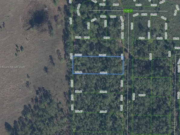 4705 Rhubarb St, Sebring, FL 33875