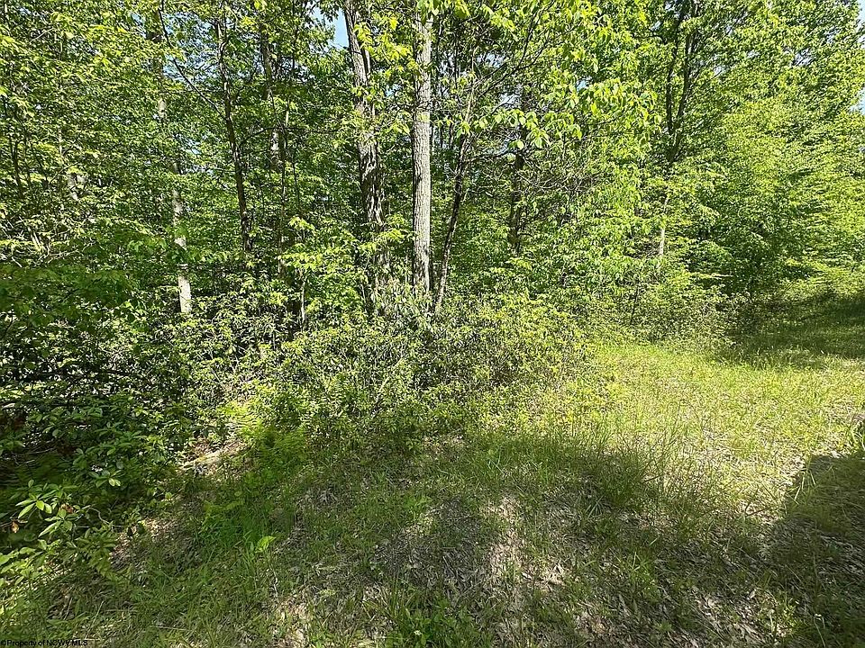 1st image of 65 Pine Dr