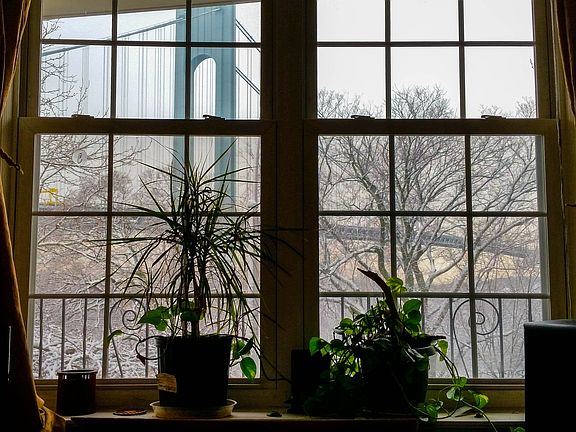 View From Family Room