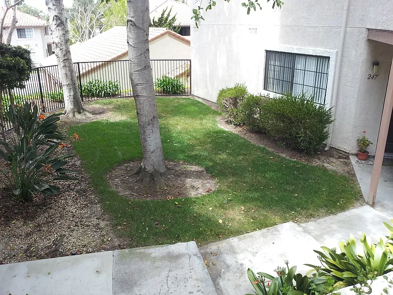 3565 Paseo De Los Californianos #247 — Photo 9