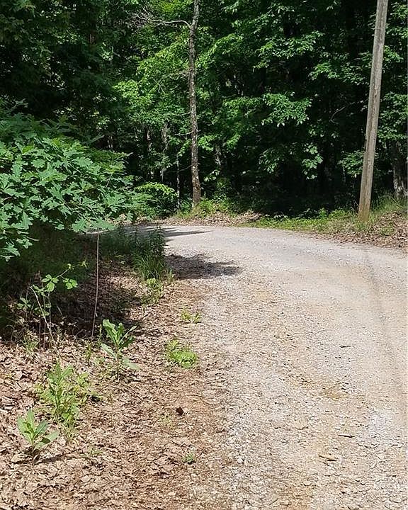 2nd image of 0 Tally Mountain Rd N
