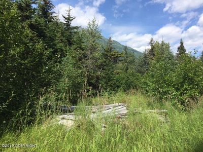 L90 Gunnysack Mine Rd, Girdwood, AK, 99587