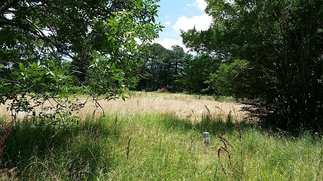 1st image of 1643 Bena Ln
