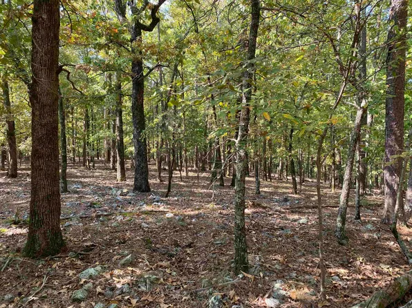 11 Hillside Trl, Mount Ida, AR 71957