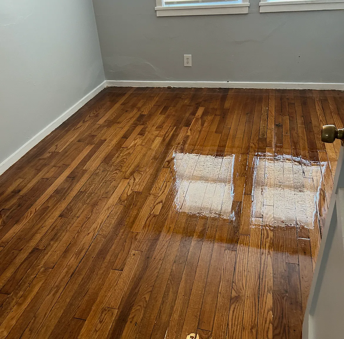 1 bed, $750 — Photo 4