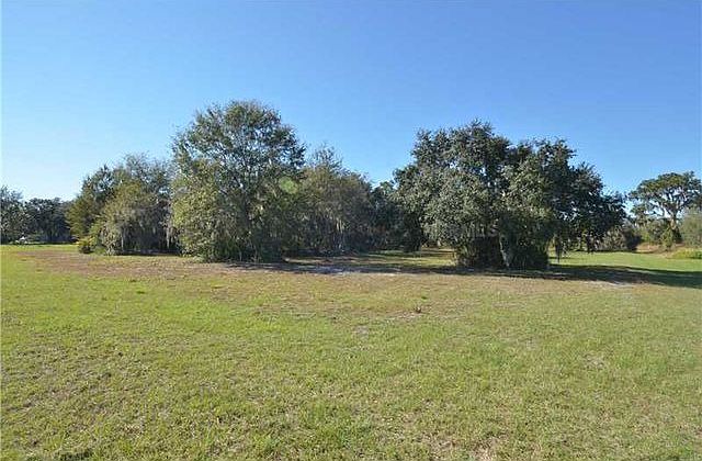1st image of 11408 Hammock Oaks Ct