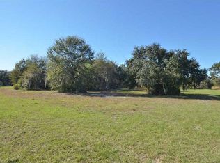 11408 Hammock Oaks Ct, Lithia, FL 33547