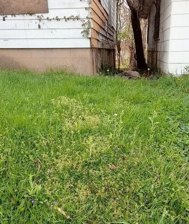 5037 Plover Ave, Saint Louis, MO 63120 Zillow