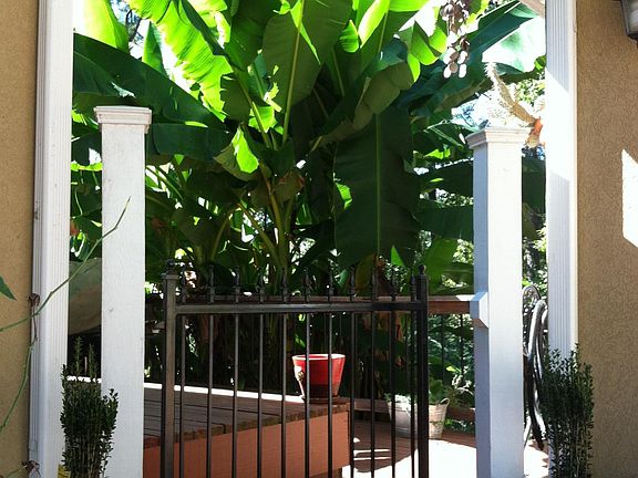 Gate to garage and yard