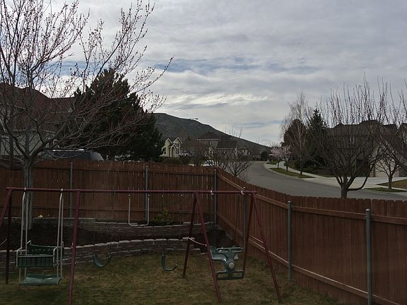 view of little badger