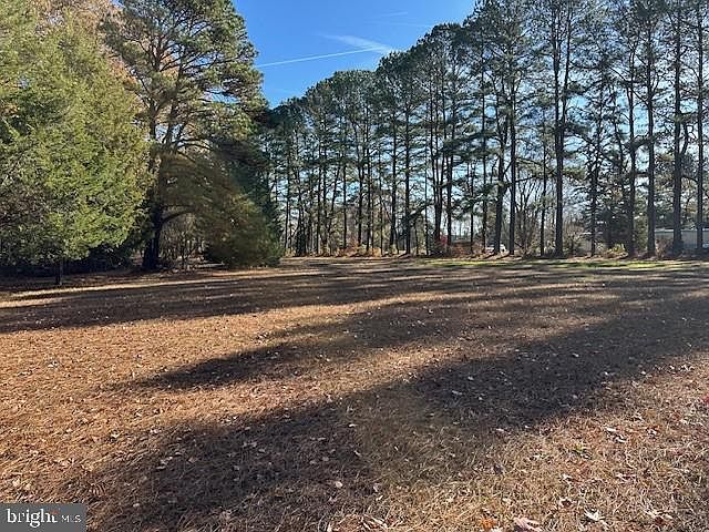 1st image of 24021 John J Williams Hwy