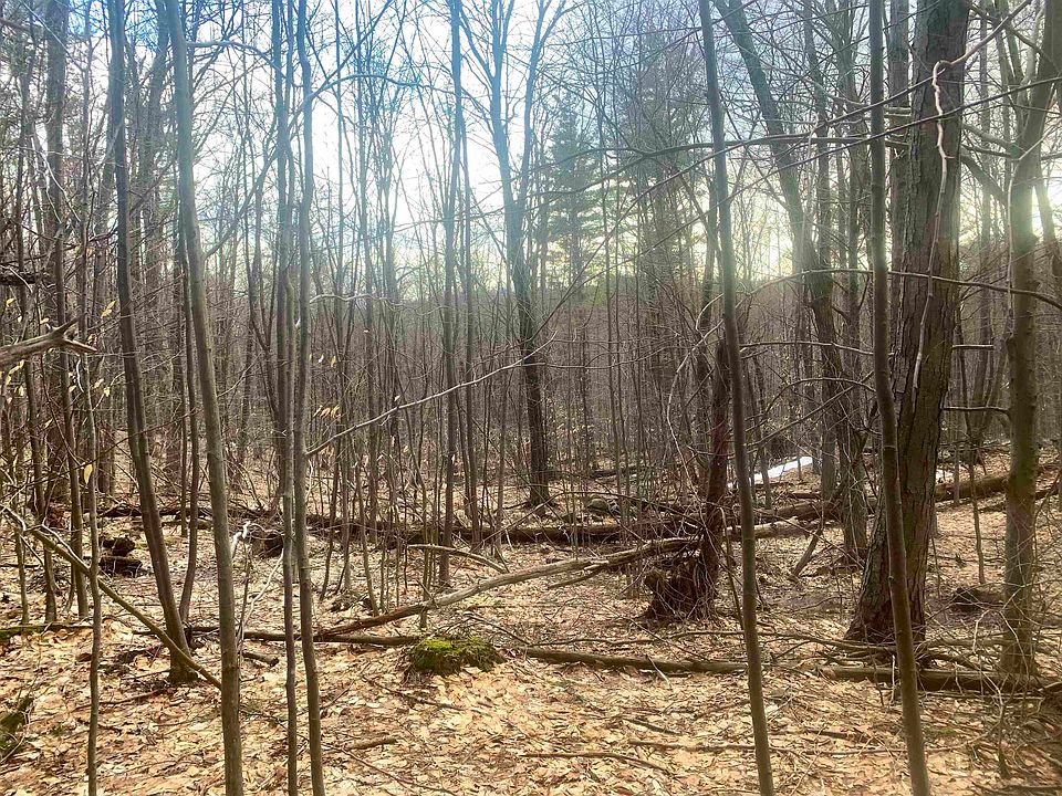 1st image of 176 Shirley Circle