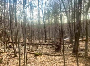 176 Shirley Cir, Townshend, VT 05353