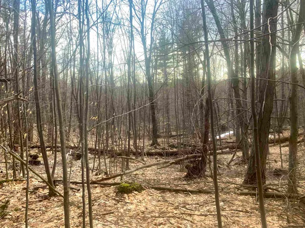 176 Shirley Circle, Townshend, VT 05353