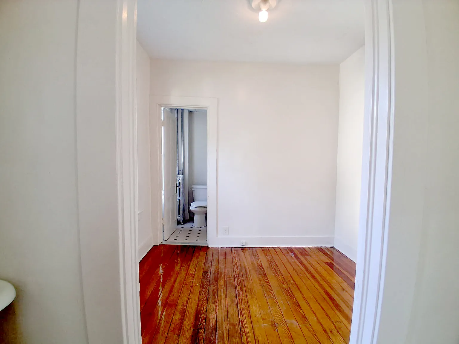 1 bed, $1,550 — Photo 3