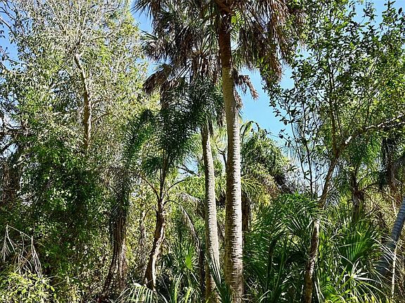 4th image of 22901 Bayshore Rd