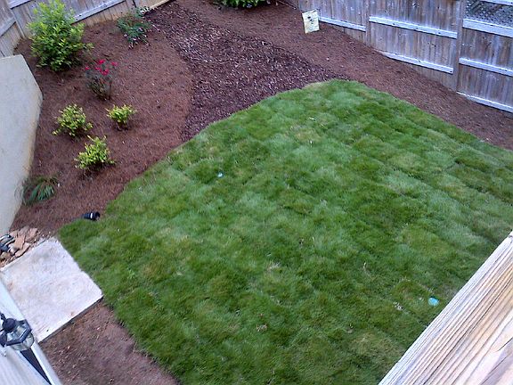 Private Backyard