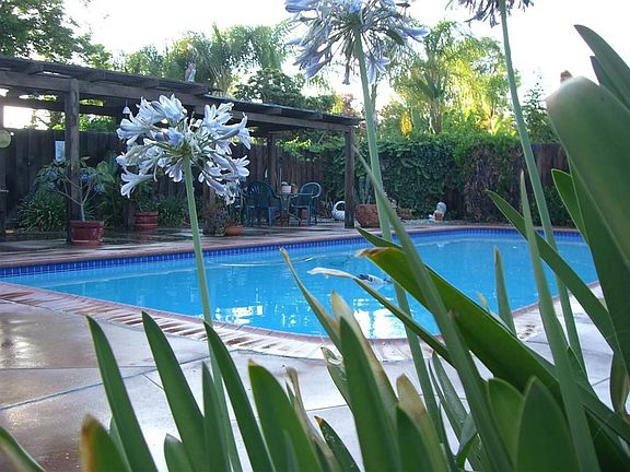 View of Pool & Deck/Patio