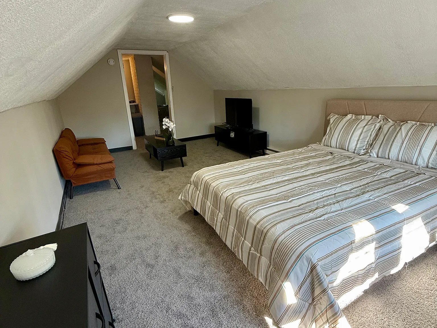 Studio, 700 sqft, $900 — Photo 3