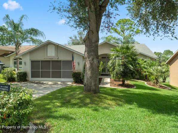 7467 Blue Skies Dr, Spring Hill, FL 34606
